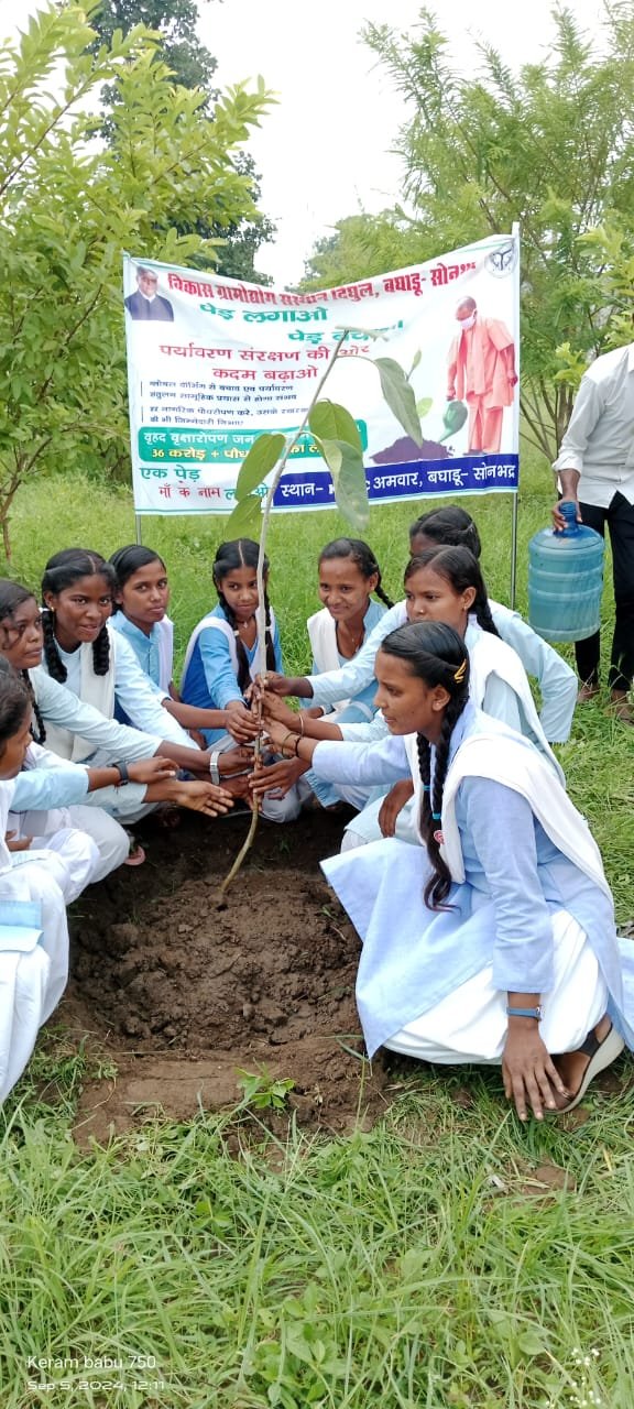 WhatsApp Image 2024-12-10 at 11.55.36 AM